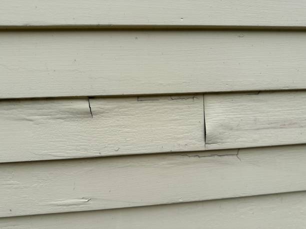 Best Fascia and Soffit Installation  in Wausau, WI